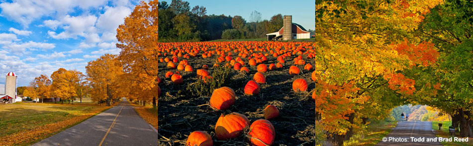 Mason County fall leaves on trees and pumpkins